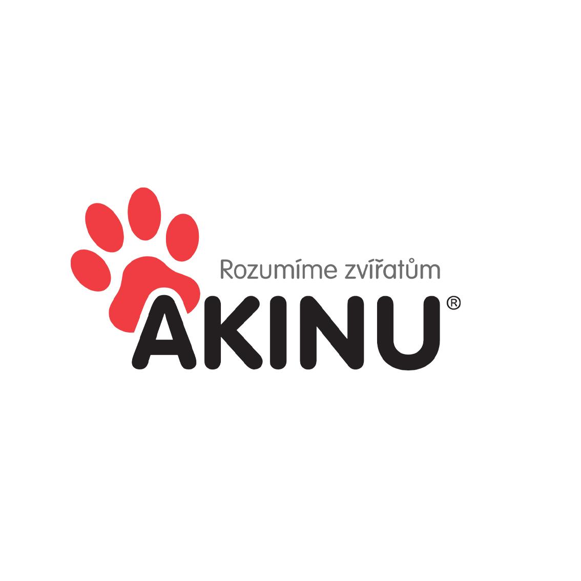 Logo Akinu